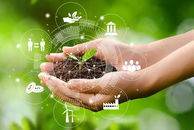 Hands cupping a seedling in soil, with business icons circling to connote industry